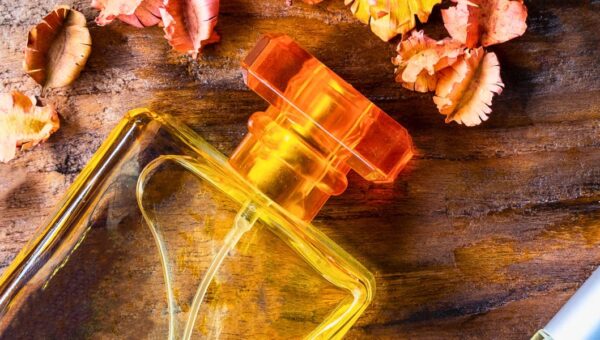 6 of the best scents to wear this fall, according to professional perfumers