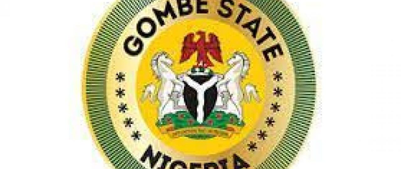 Gombe launches emergency vaccination campaign after 332 diphtheria cases