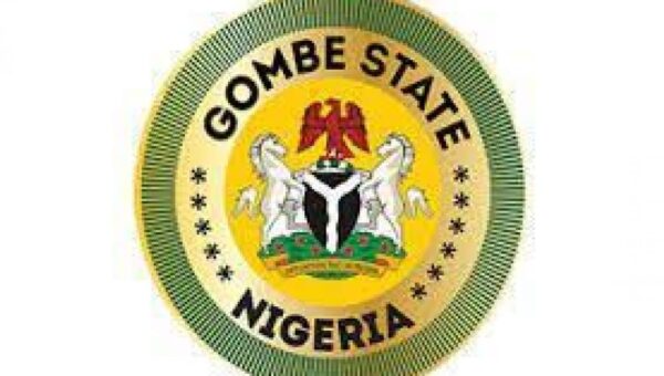 Gombe launches emergency vaccination campaign after 332 diphtheria cases