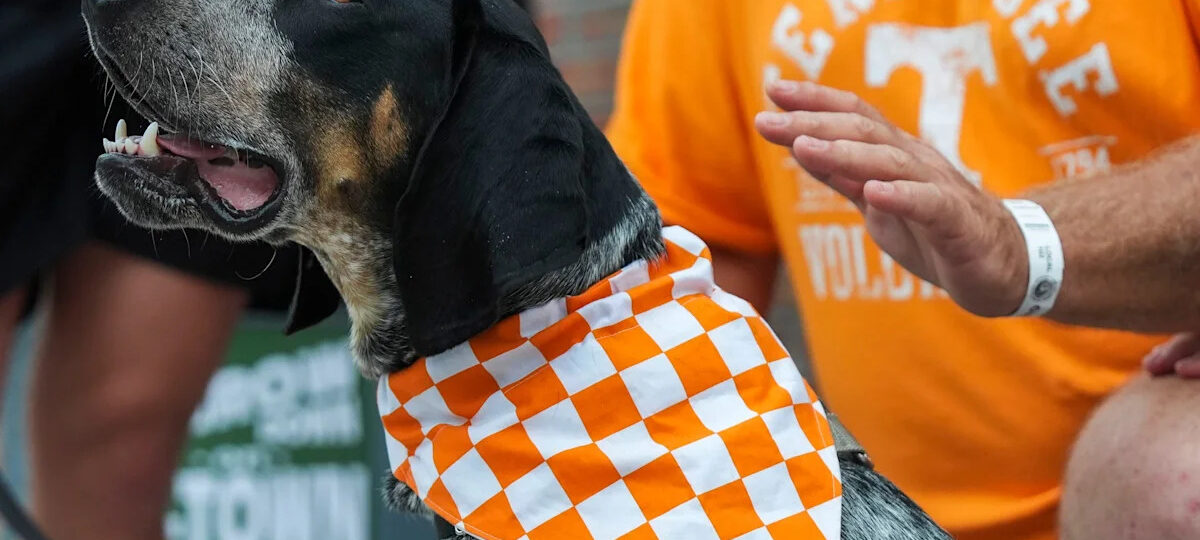 Smokey XII makes national TV debut on ‘Today’ as a ‘promising new recruit’