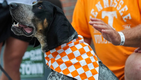 Smokey XII makes national TV debut on ‘Today’ as a ‘promising new recruit’