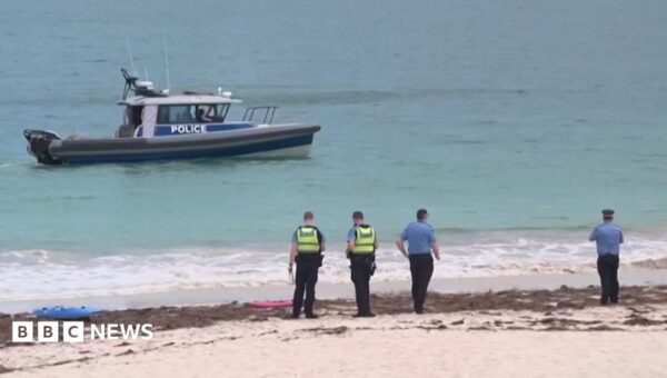 Deadly shark attack prompts rare kill order in Western Australia