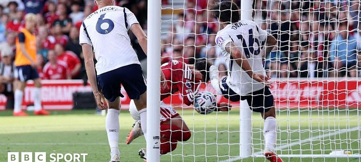 New video shows Williams handball - but won't end VAR row