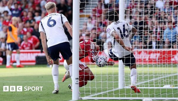 New video shows Williams handball – but won’t end VAR row