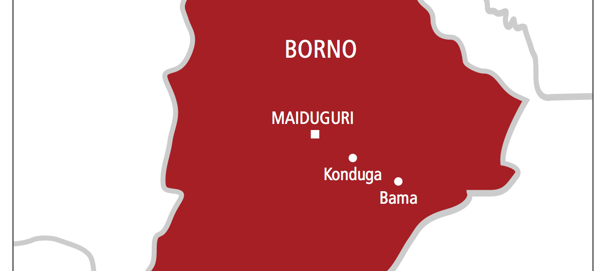 Borno records highest-ever school enrolment as learner hits 1.8 million