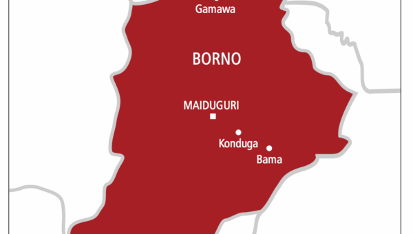 Borno records highest-ever school enrolment as learner hits 1.8 million