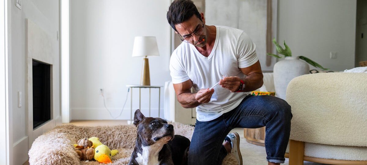 People are giving their dogs peptides to boost their longevity