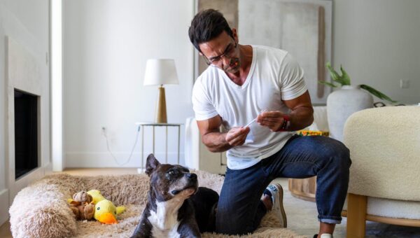 People are giving their dogs peptides to boost their longevity