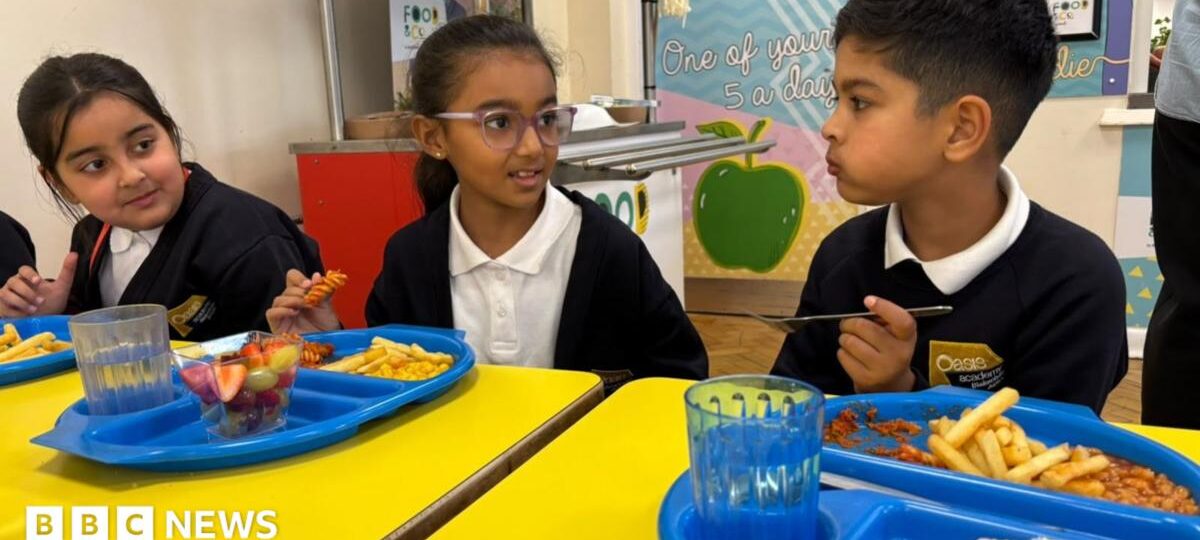 Deep-fried food banned under new school dinner rules in England
