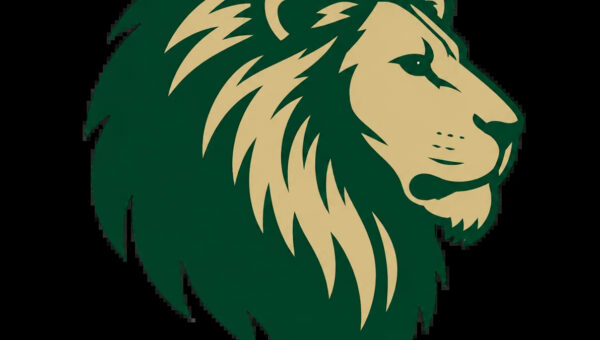 'It just had to be the right fit.' Horizon Christian is latest provisional member of IHSAA