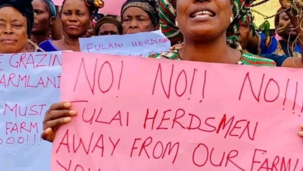 Abia: LGA Chairman convenes emergency security meeting as cattle destroy farms in Umunneochi