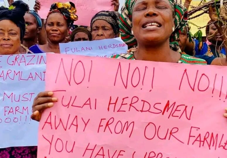 Abia: LGA Chairman convenes emergency security meeting as cattle destroy farms in Umunneochi