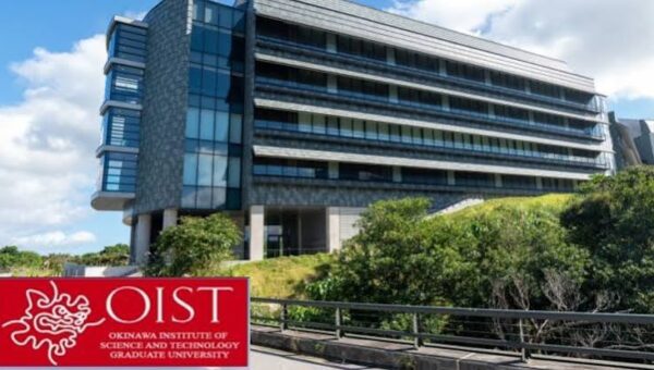 OIST Internship Program in Japan 2026 | How to Apply