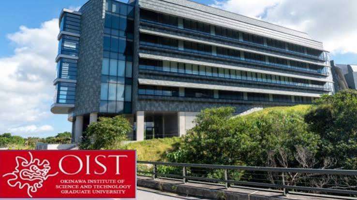OIST Internship Program in Japan 2026 | How to Apply