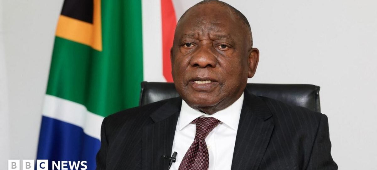 South Africa to clean up high-risk areas after 12 women killed