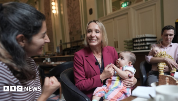 Lib Dems call for one-to-one midwife care during childbirth