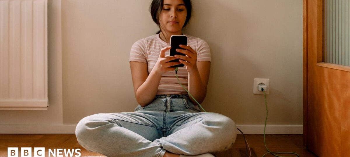 EU announces plan to restrict social media access for under-15s