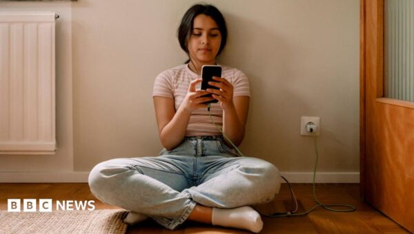 EU announces plan to restrict social media access for under-15s