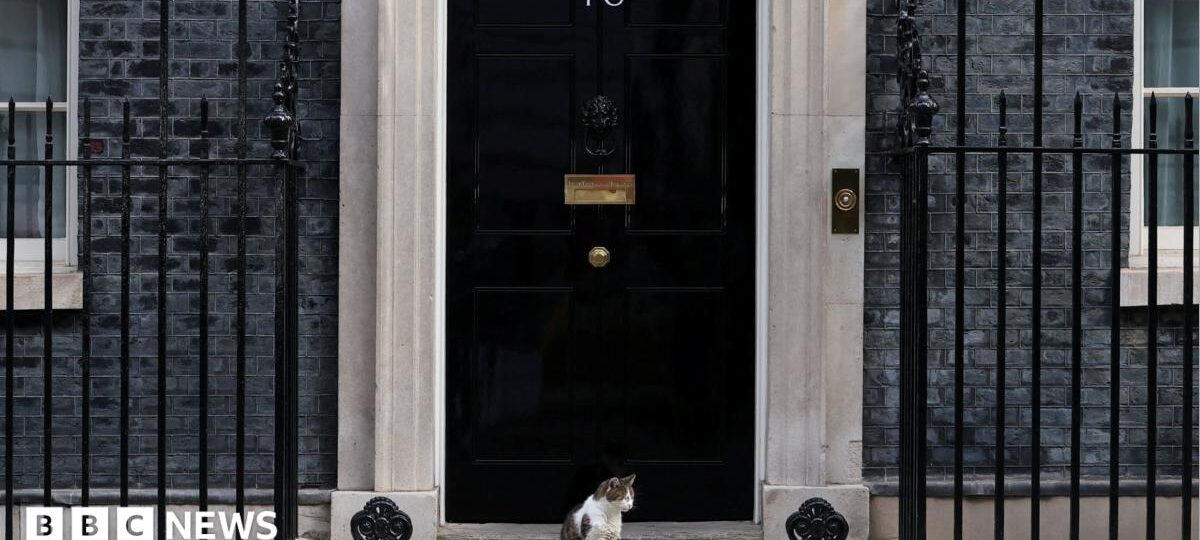 Fake 10 Downing Street listing exposes 'unfit' Booking.com, says consumer group