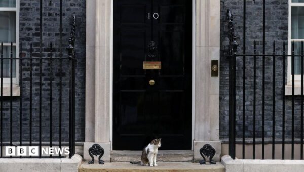 Fake 10 Downing Street listing exposes 'unfit' Booking.com, says consumer group