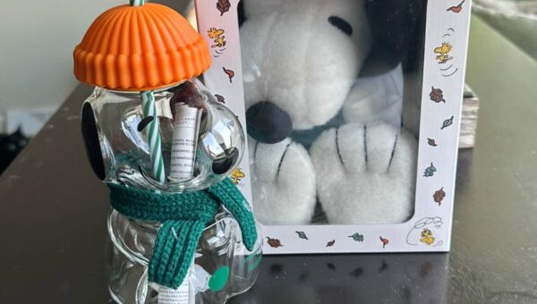 My daughter is obsessed with Snoopy. I woke up at 3:30 a.m. to hunt down Starbucks' new viral cup.
