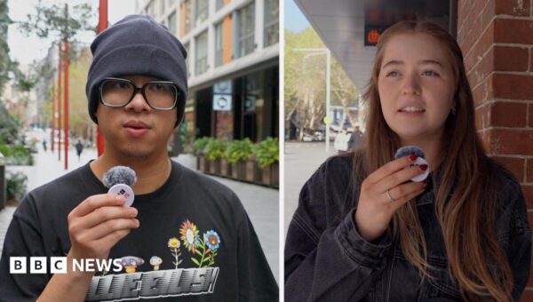 ‘Good to have choice’: Australians on opting out of social media algorithms