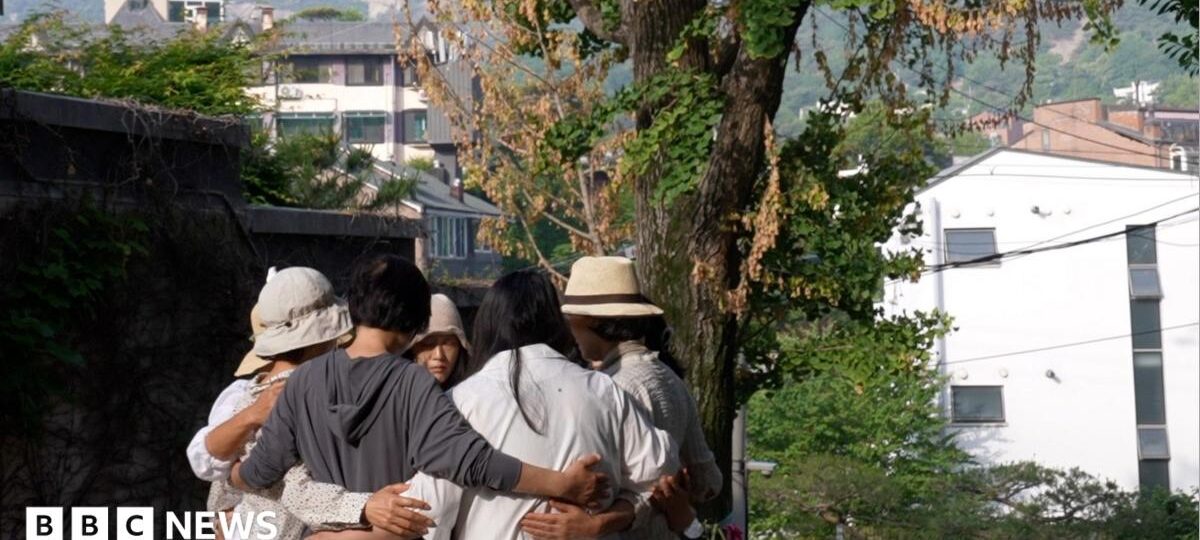 When a beloved tree began withering away, locals suspected a killer in their midst