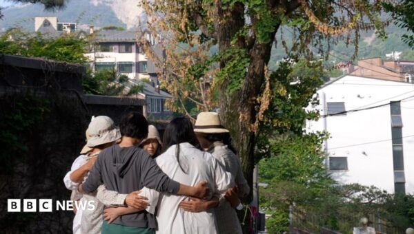 When a beloved tree began withering away, locals suspected a killer in their midst