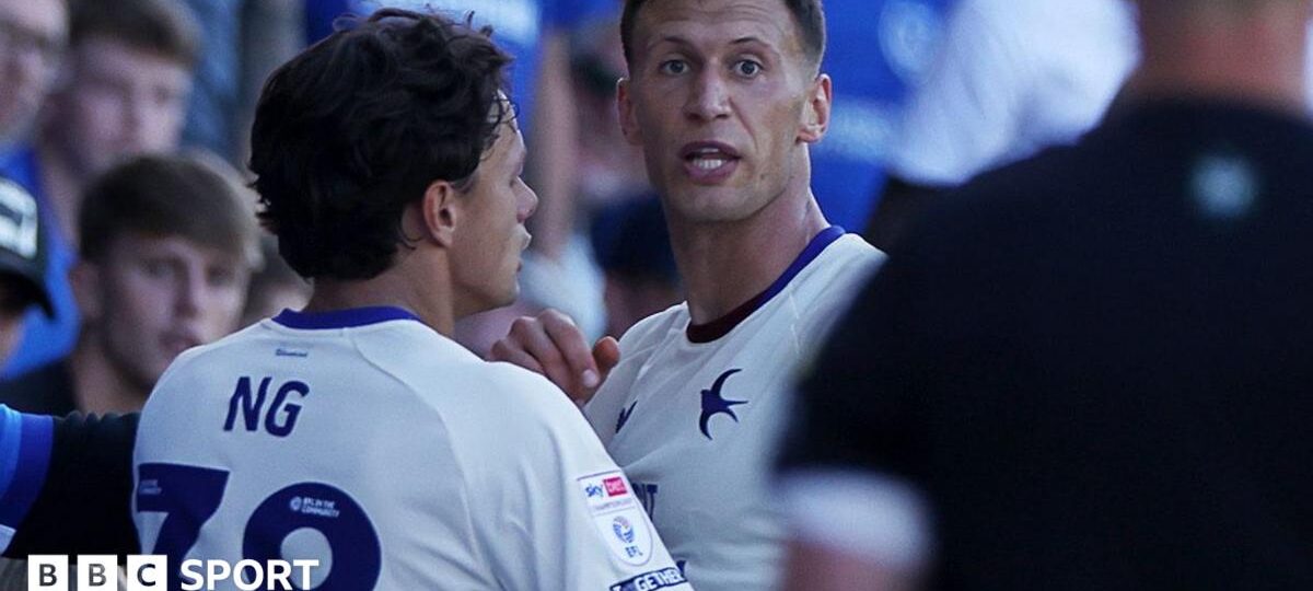 FA charges Cardiff's Bielik as police end inquiry
