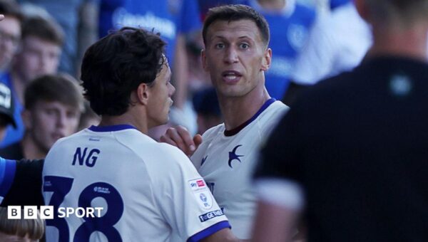 FA charges Cardiff’s Bielik as police end inquiry