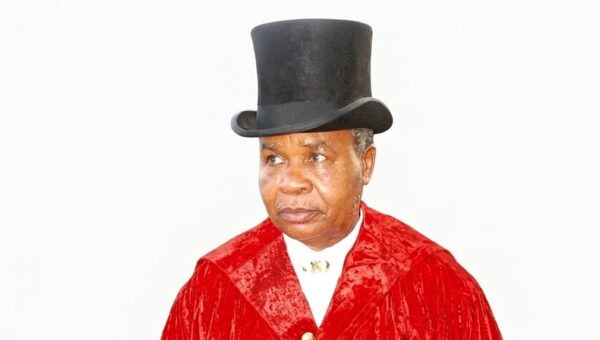 Niger Delta development built on Horsfall’s legacy – Ex-NDDC director, Audu-Ohwavborua