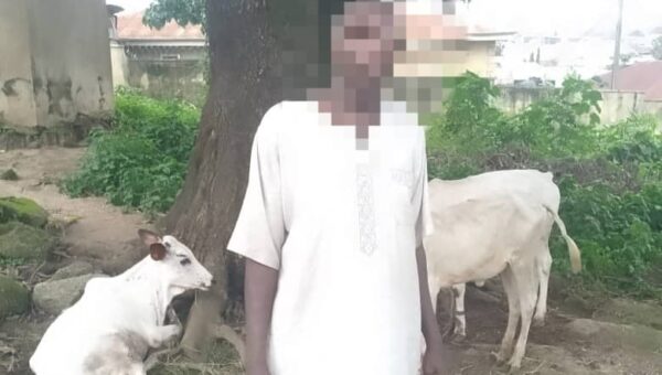Police rescue kidnap victims, neutralise suspects in Niger
