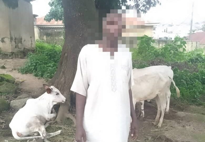 Police rescue kidnap victims, neutralise suspects in Niger