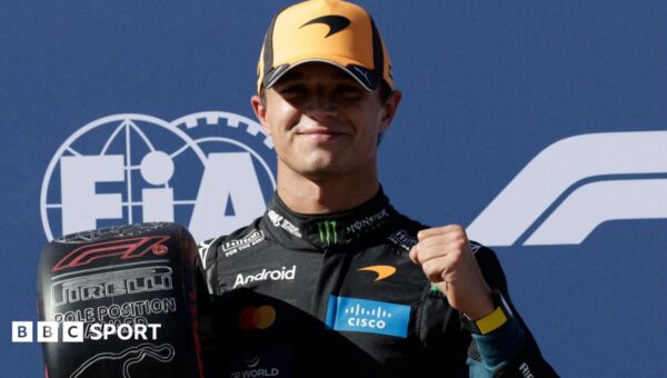 Norris takes Madrid pole with ‘gorgeous’ lap