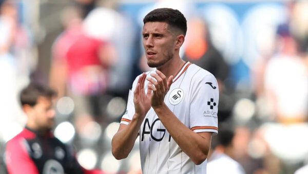 Scotland's Stewart suffers Swansea injury blow