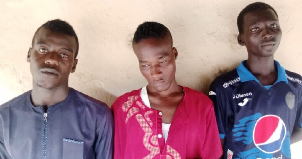 Adamawa court jails three Shila boys 10 years each for extortion