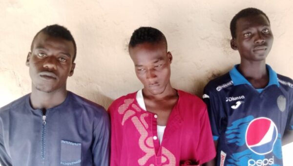 Adamawa court jails three Shila boys 10 years each for extortion