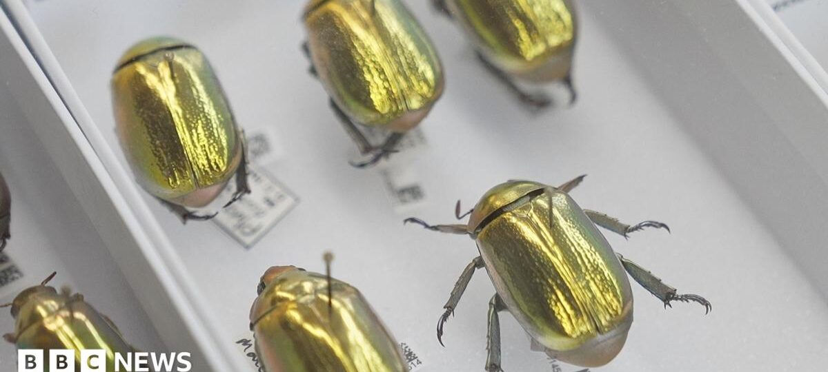 How AI is creating a UK super-museum and revealing our planet's history