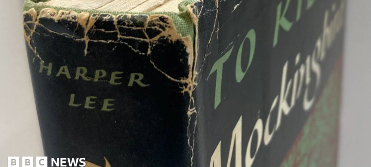 To Kill A Mockingbird first edition found in Oxfam shop