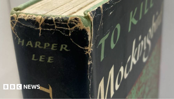 To Kill A Mockingbird first edition found in Oxfam shop