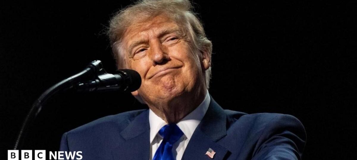 Can Trump really pay $5,000 to every American adult?