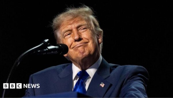 Can Trump really pay $5,000 to every American adult?