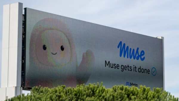 A YouTuber says Meta's Muse gave his address to a Facebook Marketplace buyer: 'A guy just showed up at my door'