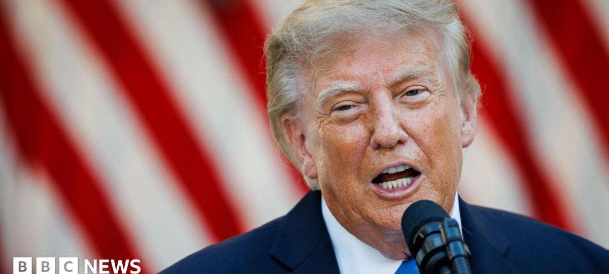 Iran war will not end until after November US elections, says Trump