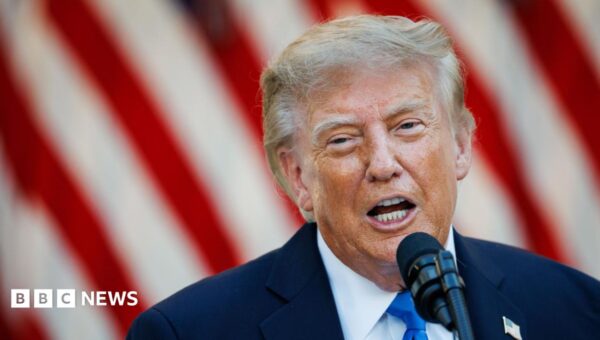 Iran war will not end until after November US elections, says Trump