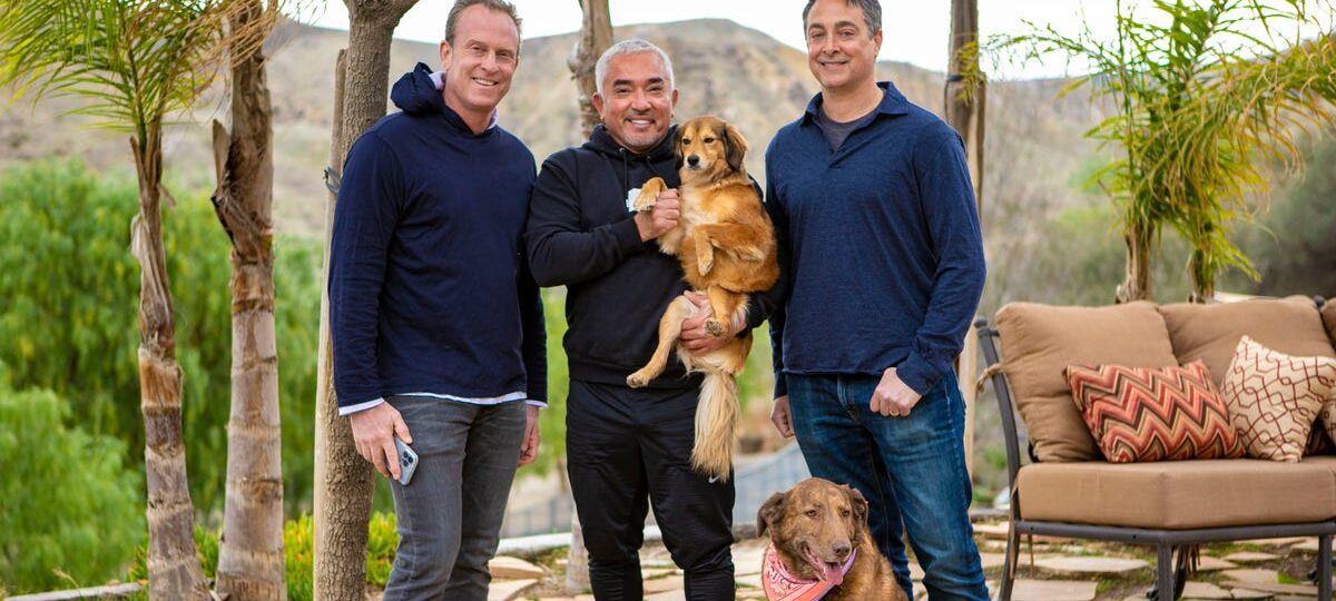 I thought, 'What's more valuable than the family dog?' That question became a company with nearly $100M in sales.