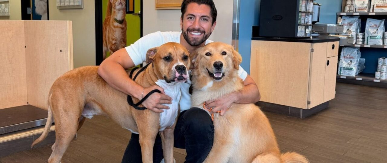 Jason Tartick & Fiancee Kathryn Came Home From Their Engagement to His Dogs Getting Sprayed by a Skunk