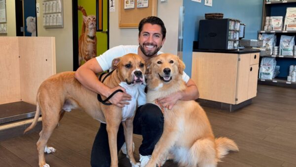 Jason Tartick & Fiancee Kathryn Came Home From Their Engagement to His Dogs Getting Sprayed by a Skunk
