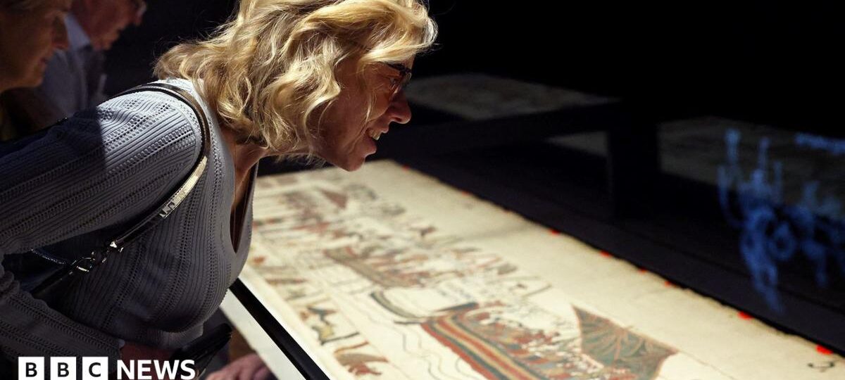 Bayeux Tapestry unveiled to UK public for first time at British Museum