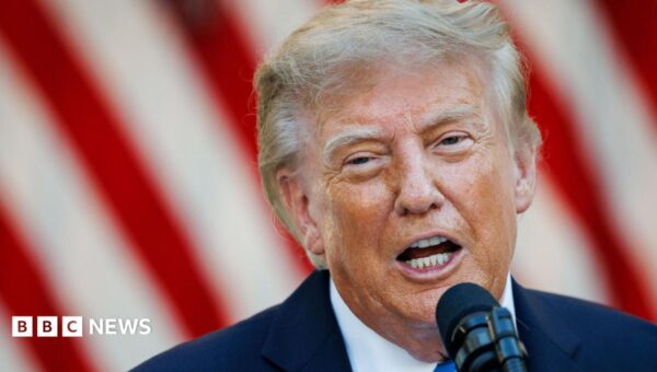 Trump hints US would not back UK over Falkland Islands due to lack of Iran war support